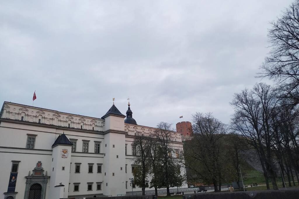 Private Sauna & 4 Bedrooms Old Town Rooftop Apartment VNO Esterno foto